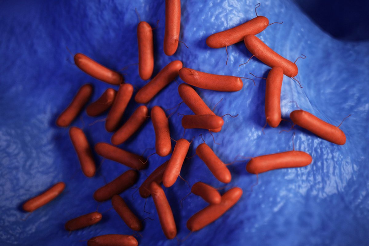 Pseudomonas Aeruginosa